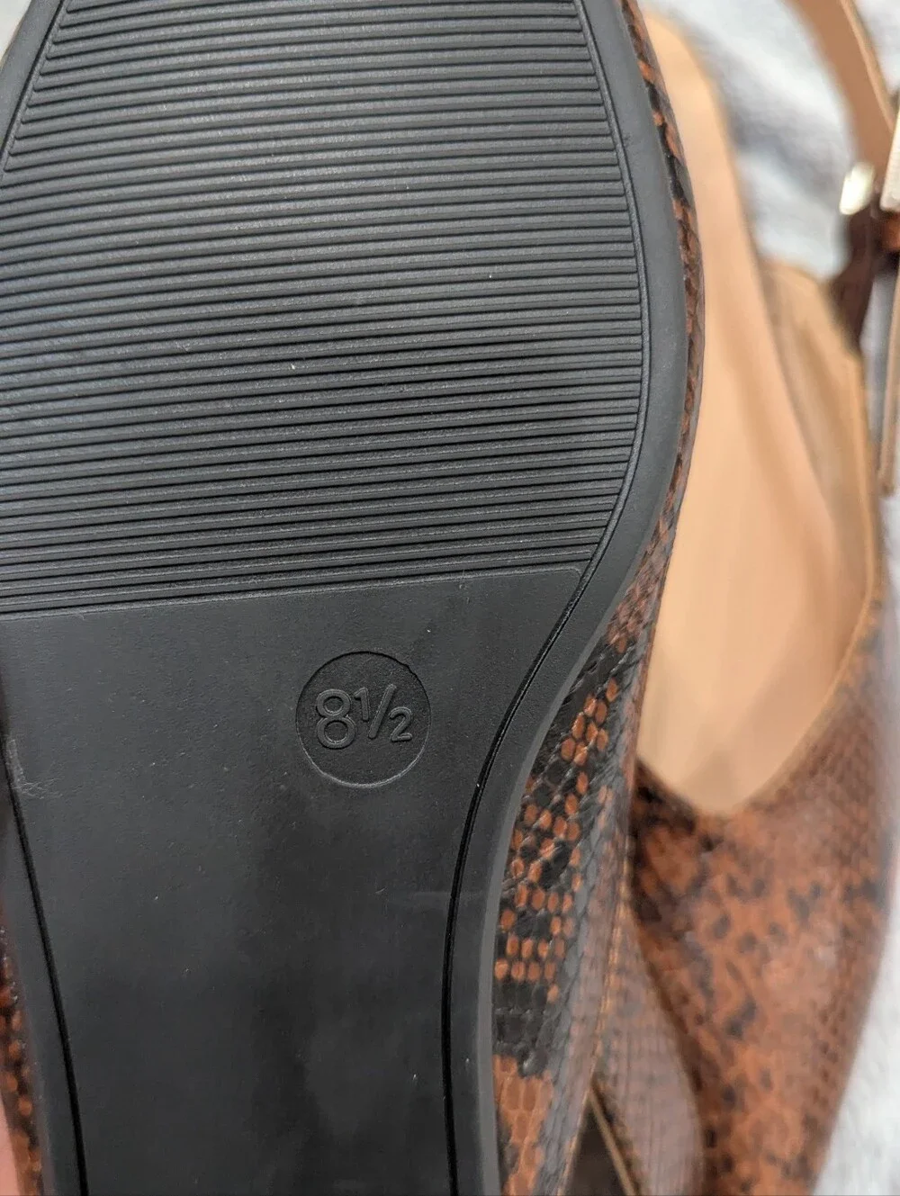 a new day size brand
